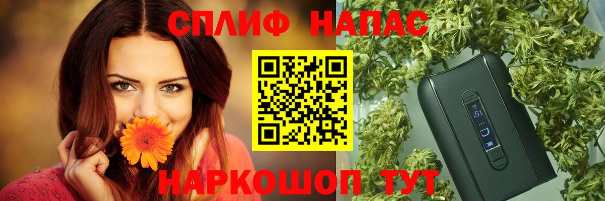 Конопля конопля  Вход с VPN  Конопля LSD WEED  Ноябрьск  Марихуана ГИДРОПОН 