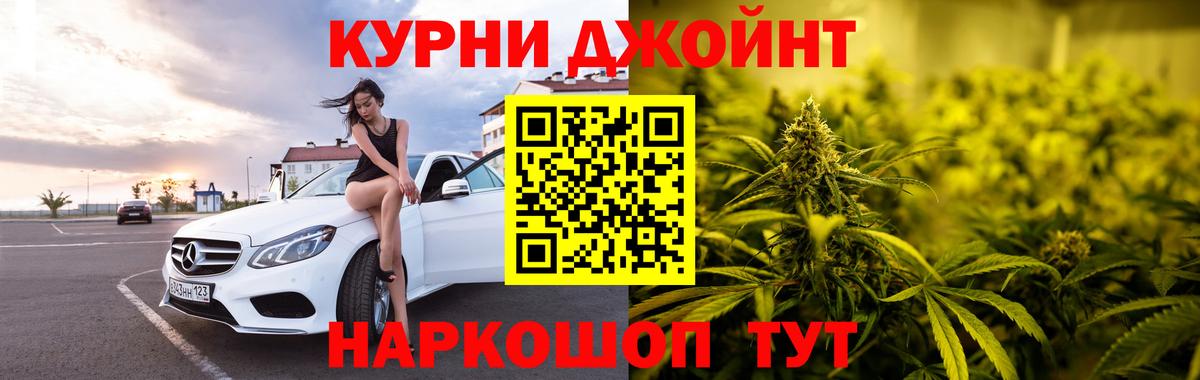 МАРИХУАНА сатива Ноябрьск